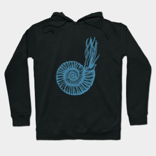 ANCIENT SEA Hoodie